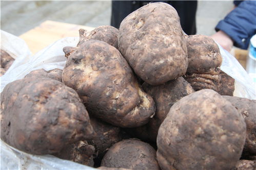 解讀 國家衛(wèi)健委發(fā)文 對靈芝 天麻等9種物質(zhì)試點(diǎn)既是食品又是中藥材管理