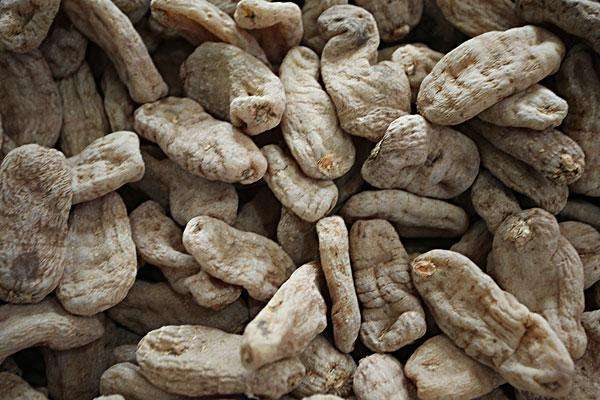 略陽縣天麻資源綜合開發(fā)項目