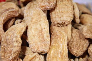 前方高能 你湯里的這種補品是吃蘑菇長大的